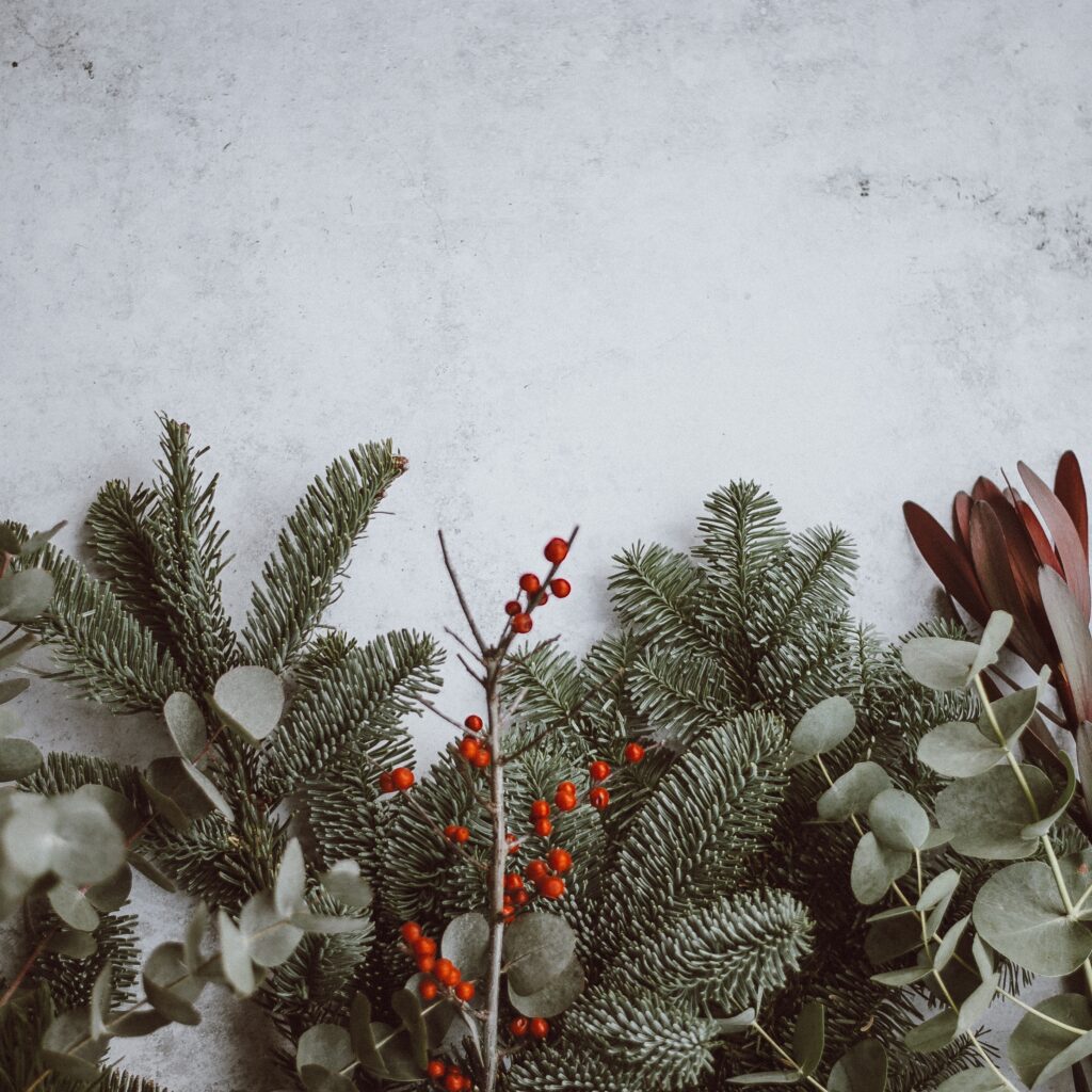  The Enchanting Christmas Color Palette of Elvis 